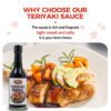 2-8-1.jpg Teriyaki Soy Sauce Seasoning